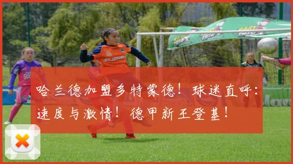 哈兰德加盟多特蒙德！球迷直呼：速度与激情！德甲新王登基！